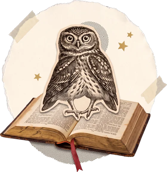 Paper-collage engraving of an owl perched on an open Bible
